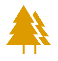 Tannenbaum_Symbol-1.png